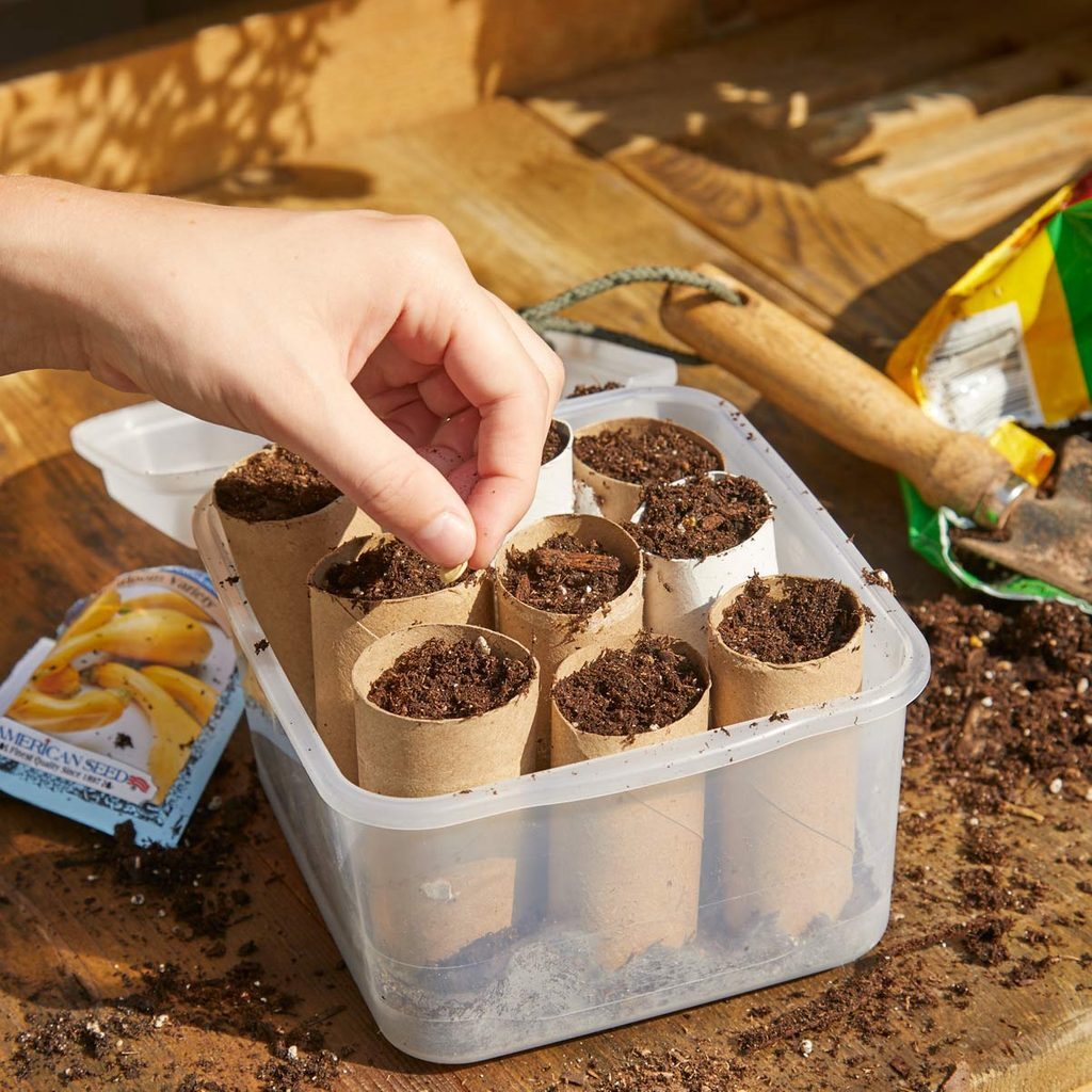 A person putting seeds in to a container