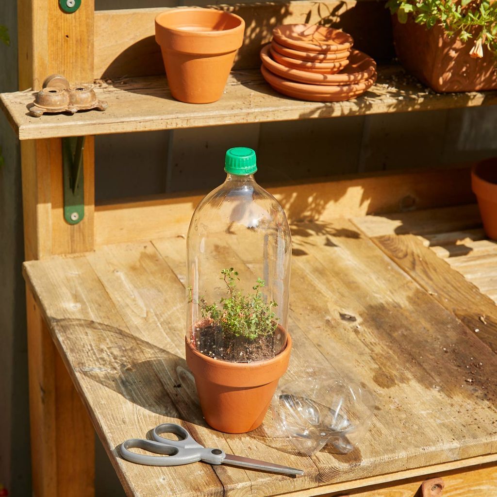 A bottle with plants inside of it on top of a table.