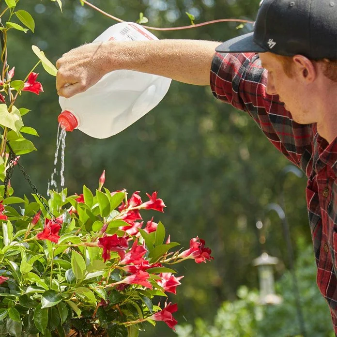 A man watering flowers with a spray bottle.