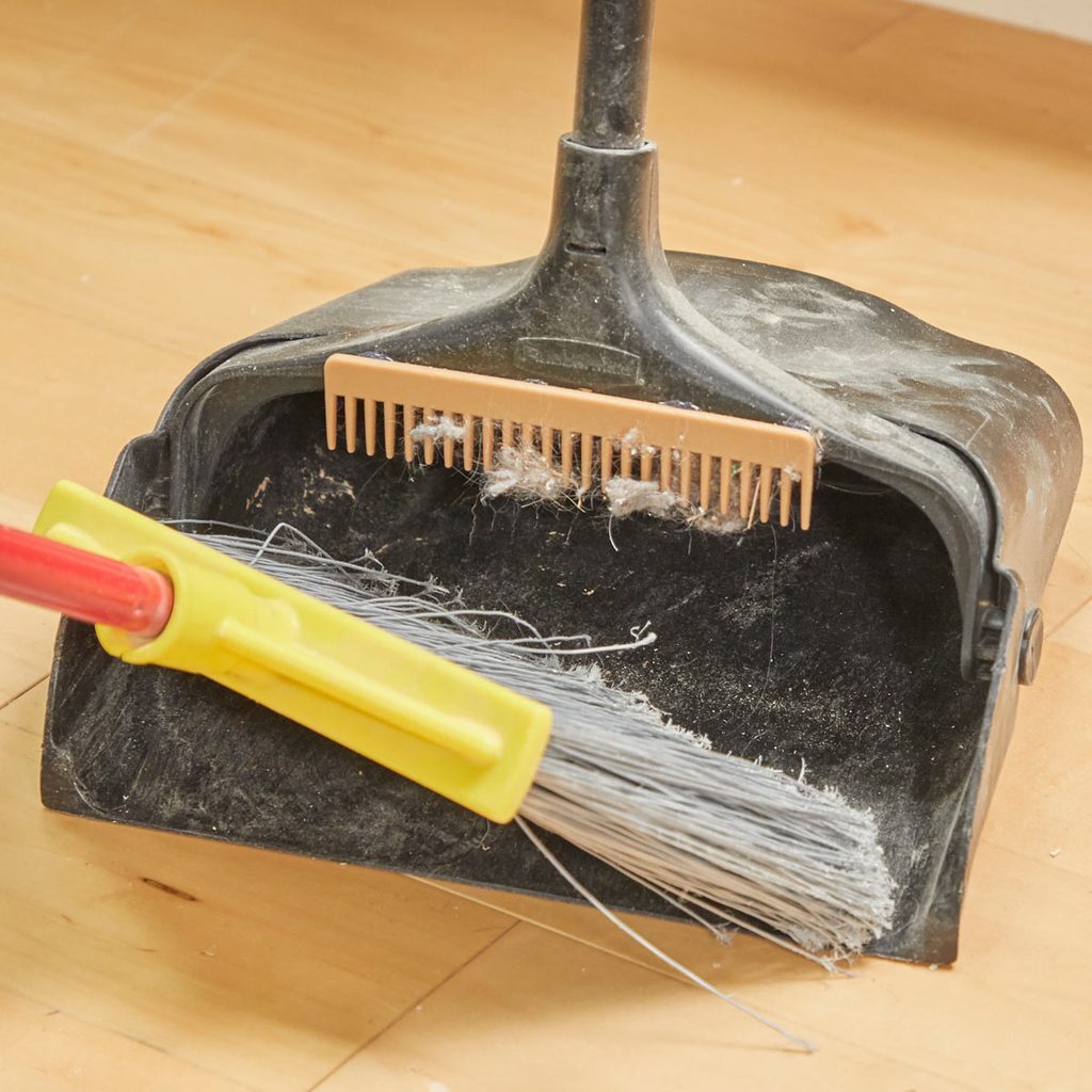 A broom and brush on the floor